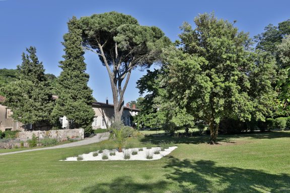 El parque